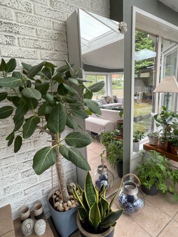 Renvägen, Sävedalen - Photo 2