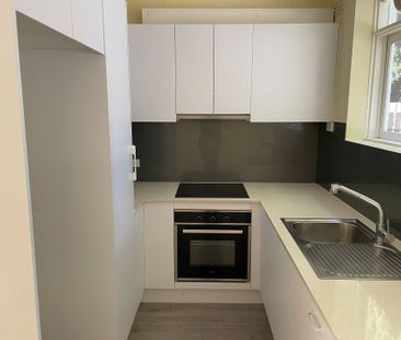 Renovated Ground Floor North-facing Stunner - Photo 3