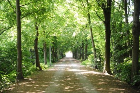 Gerenoveerde woning met grote tuin in Ledeberg - Foto 3