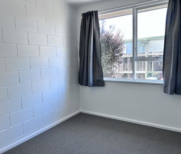 Fully Renovated sunny two bedroom unit - Photo 1