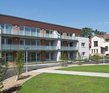 SCHEIBBS XX/2 - Foto 2