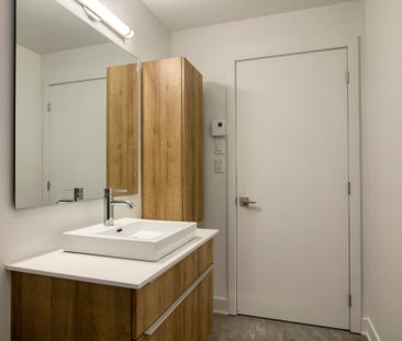 9675 Av. Papineau, app.9, H2B 3C8, H2B 3C8, Montréal - Photo 4