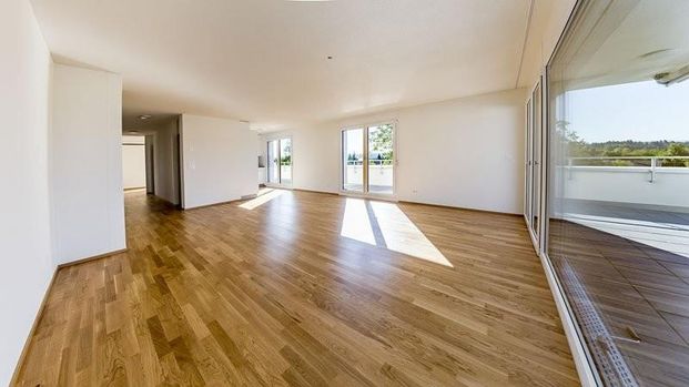 3.5-Zimmer-Attika-Wohnung mit Sommeraktion - Photo 1