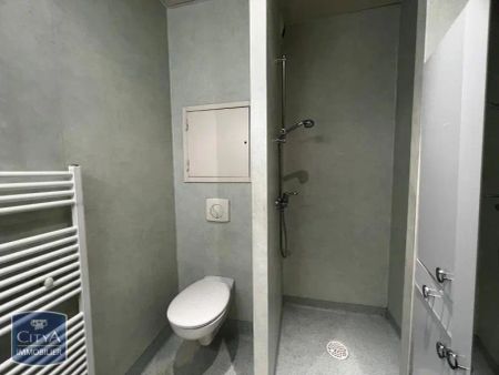 Appartement à louer 1 pièce 24.49m² - Photo 5