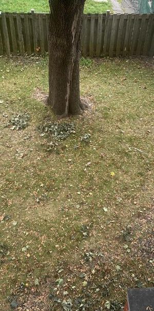 5 et 1/2 Villeray 1800$ chauffage inclus - Photo 1