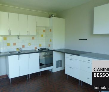 Location Appartement 1 pièce 43m² GRENOBLE 38000 - Photo 2