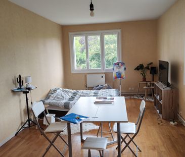 Location Appartement 1 pièce 37m² TALANT 21240 - Photo 3