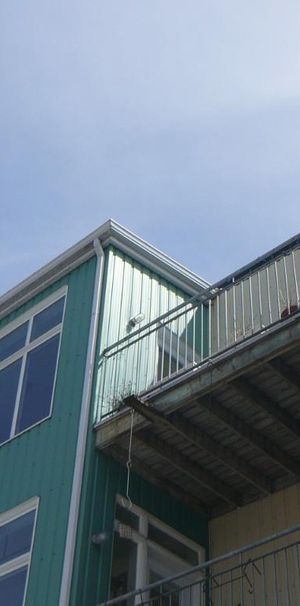 4 1/2 près de Cartier et des Plaines - Photo 2