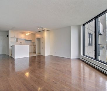 Appartement à louer - Longueuil (Le Vieux-Longueuil) (Montréal Sud) - Photo 5