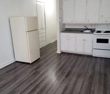 1 CH - 1 SDB - Montréal - $1,095 /mo - Photo 3