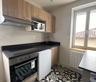 Location Appartement 1 pièce 16m² BRIGNAIS 69530 - Photo 5