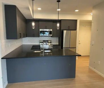 NW Beautiful 2 Bedrm, 2 Bath w/ Underground Parking & Locker for Le... - Photo 1