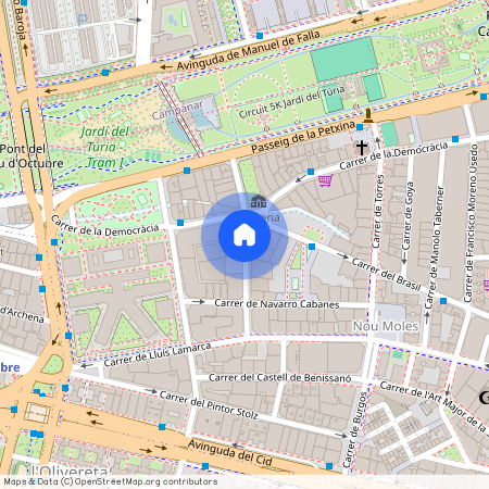 Carrer de Velázquez, Valencia, Valencian Community 46018