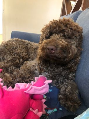 Flemington - Photo 1