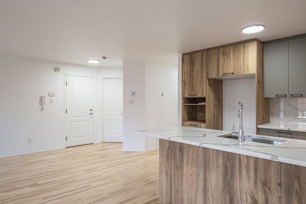 2511 Boul. De Maisonneuve E., H2K 2G3, H2K 2G3, Montréal - Photo 1