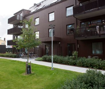 Oskarsgatan 37, Kneippen - Photo 3