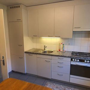 "Am Fusse der Rebbergen von Uster" - Photo 2