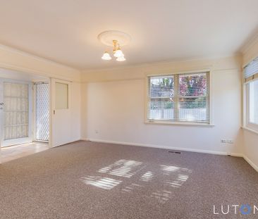 76 Jervois Street, Deakin ACT 2600 - House For Rent | Domain - Photo 5