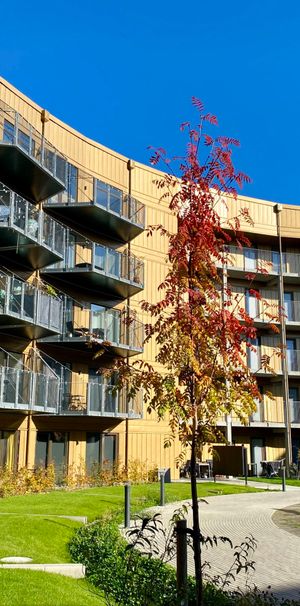Dejlig terrasse ud til grønt område - Foto 1