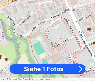 Living with a beautiful view in the Liebrüti development - Foto 1