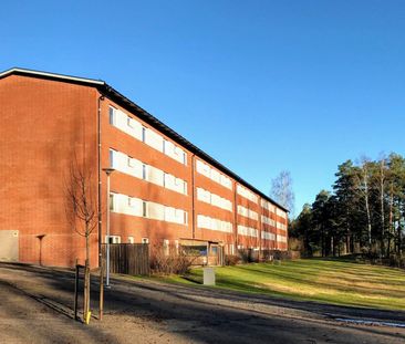 Skogvaktaren - Photo 2
