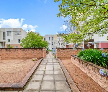 MODERN BRUCE LIVING! - Photo 6