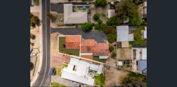 Newly Renovated! Front, Spacious Yard with Side Access! - Photo 2