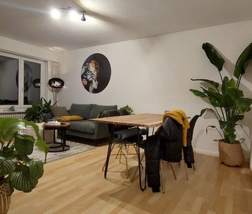 2.5 Zimmer, 52 m², 5. Stock - Photo 1