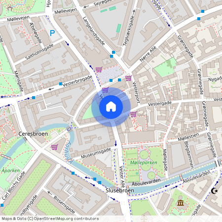 Vester Allé 22, 2. Dør2, 8000 Aarhus C