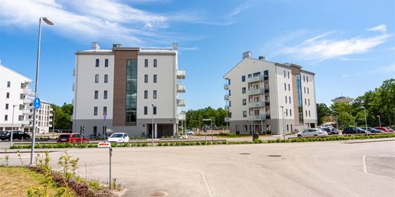 Timmermansgatan 33 B - Foto 3