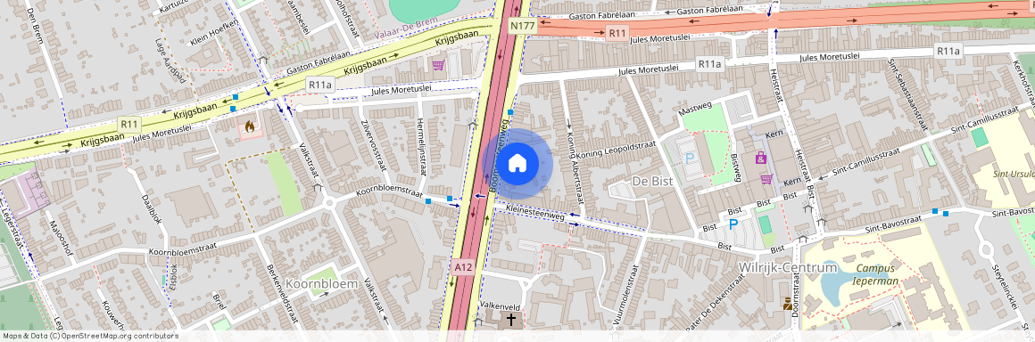 WILRIJK - Boomsesteenweg 267