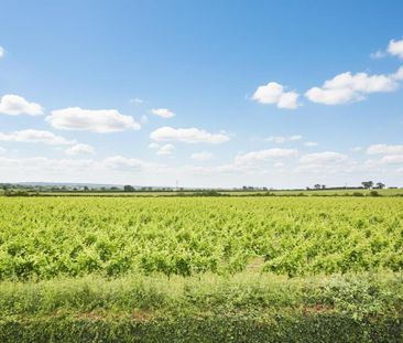 3 bedroom cottage to rent - Photo 5