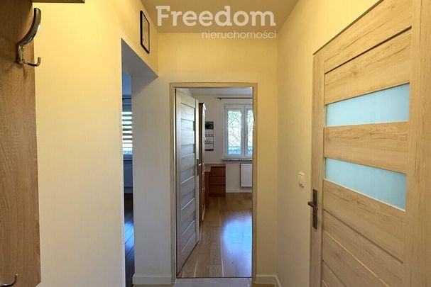 W dobrej okolicy mieszkanie do wynajęcia - Фото 1