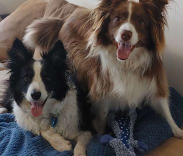 Forrestfield - Photo 2