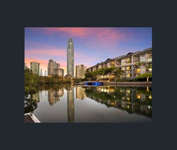 SURFERS PLAZA RESORT - Large one bedroom unit- Surfers CBD - Photo 1