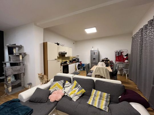 Location Appartement 2 pièces 74m² VALENCE 26000 - Photo 1