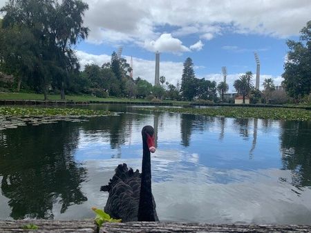 East Perth - Photo 4