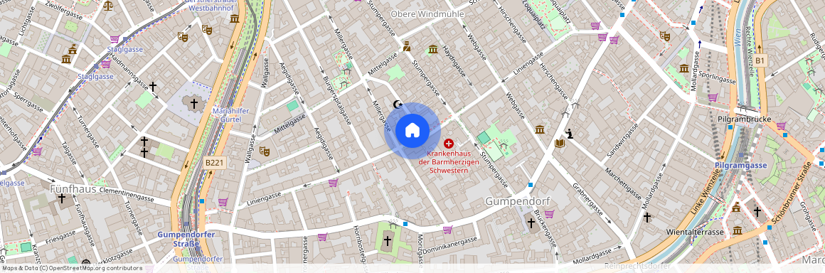 Liniengasse 22, Vienna