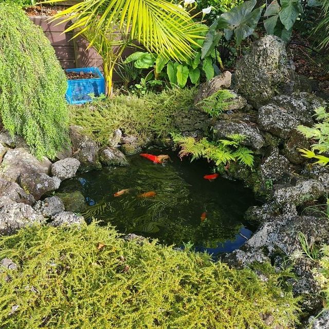 Spacious 5BR Family Home in Flat Bush - Photo 1