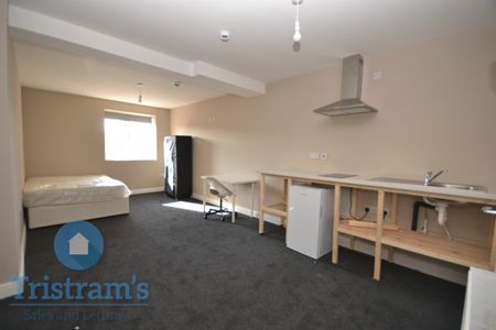 1 bed Studio for Rent - Photo 3