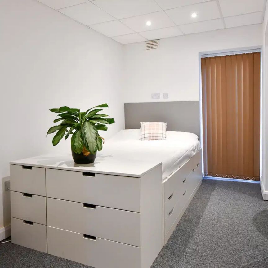 Classic Studio – Single Occupancy - Photo 1