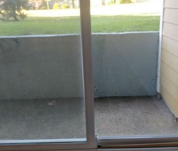 111 3270 Ross Road - Photo 3