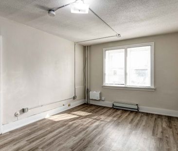 Renovated Suite - 1 Bedroom - Photo 1