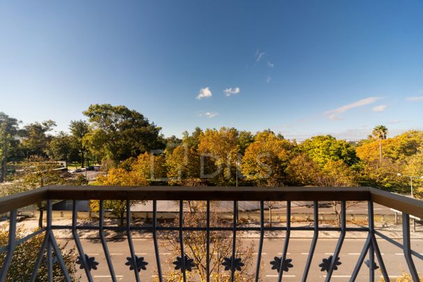 Apartamento T1 para arrendamento no Campo Grande, Lisboa - Photo 1