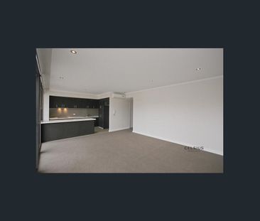Spacious 1x1 Apartment on the Vic Park Strip! - Photo 3