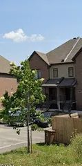 1 room apartment of 116m² in Gatineau - Photo 2