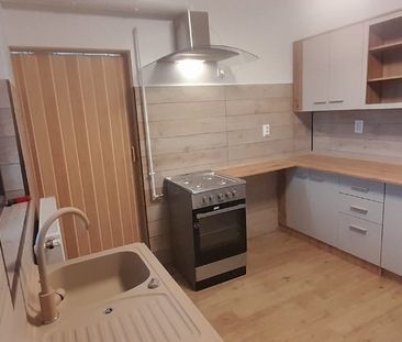 Casa P+M de inchiriat Clinceni Put Olteni - Fotografie 3