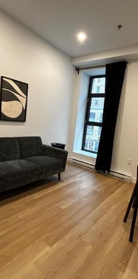 2 CH - 1 SDB - Montréal - $2,246 /mo - Photo 1