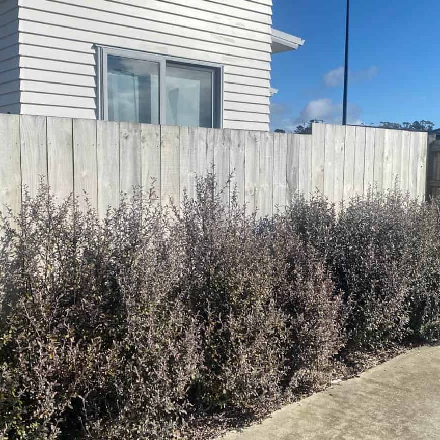 Modern Family Home - Photo 1