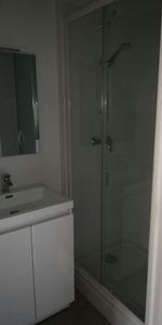 Location Appartement 1 pièce 19m² ANGERS 49100 - Photo 4